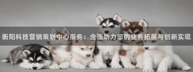 金年会com