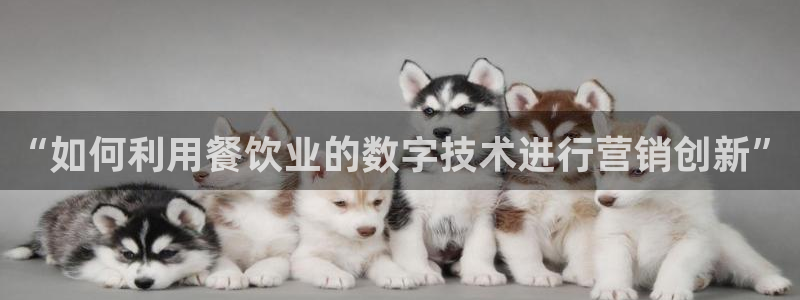 金年会体育平台怎么样