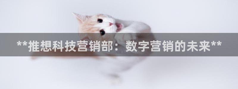 金年会下载安卓