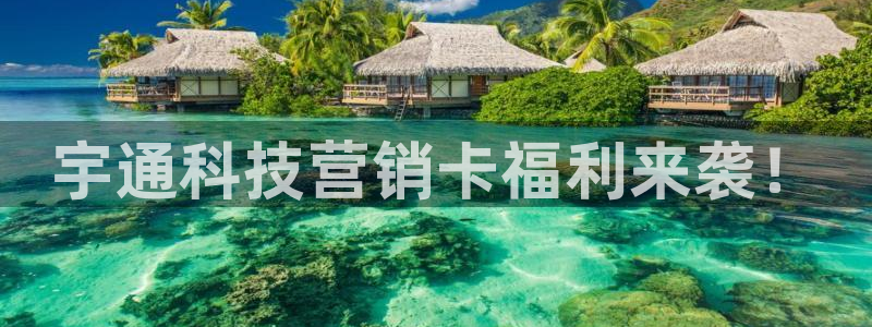 金年会是什么平台会不会提不了现