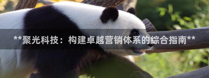 金年会电子官网下载