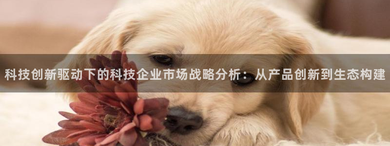 jinnian金年会体育在线入口