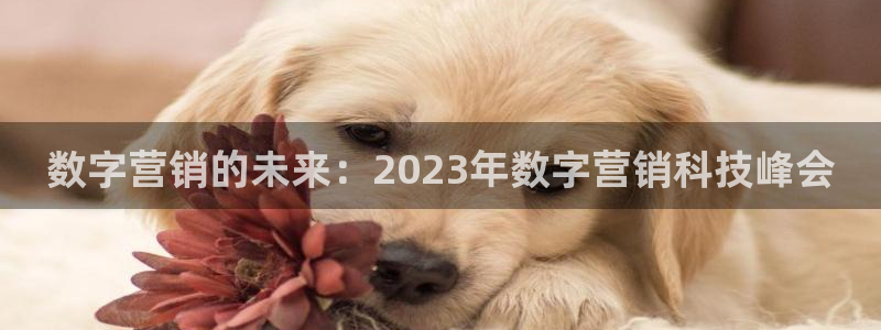 金年会官方在线入口网站查询
