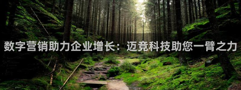 金年会网页版登陆
