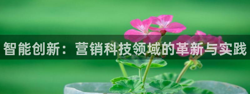金年会官方app下载