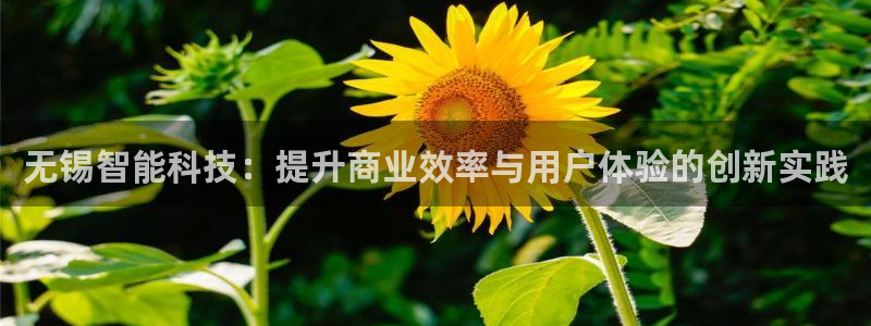 金年会app官方网站是什么
