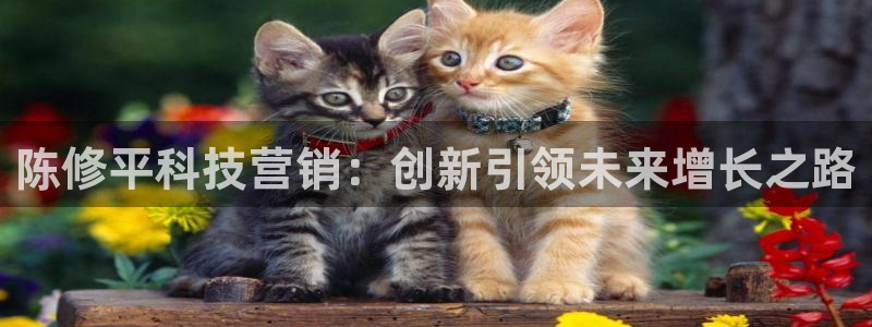 金年会网赌靠普吗