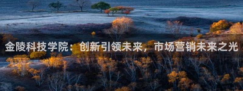 金年会体育官方app下载安装