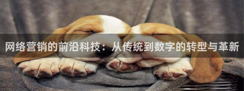 金年会 金字招牌诚信至上在线
