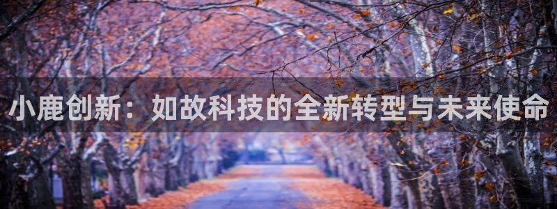 金年会网站