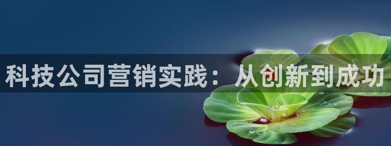 金年会下载官方网站