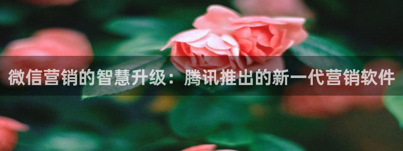 金年会下载官方网站