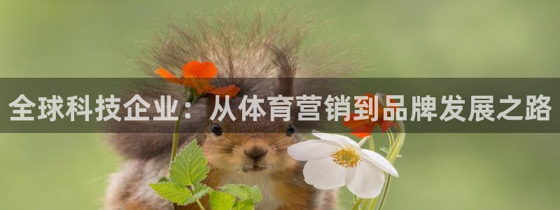 金年会官方app下载