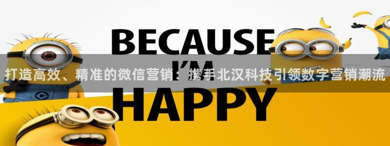 金年会体育app