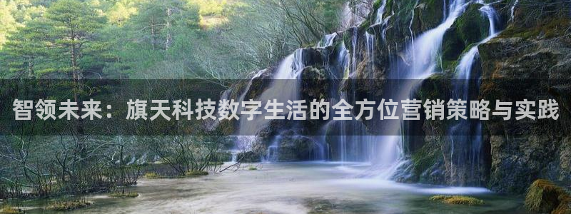 金年会体育信誉怎么样