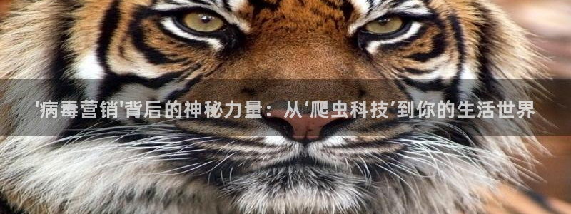 金年会体育app下载官网安卓