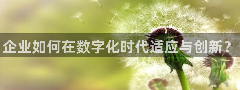 金年会体育app最新官网下载