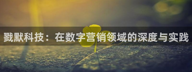 金年会下载官方app