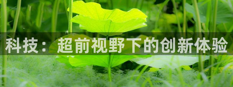 金年会网页版登陆