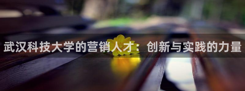 金年会官方入口APP