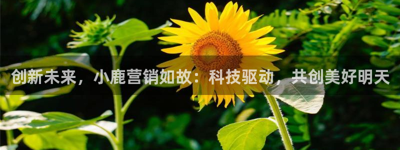 金年会金字招牌诚信经营