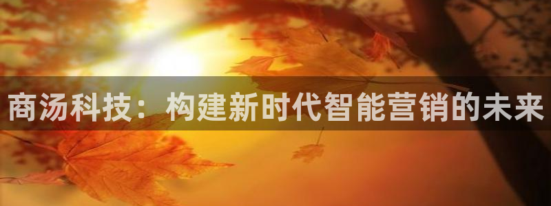 金年会体育平台是真的吗