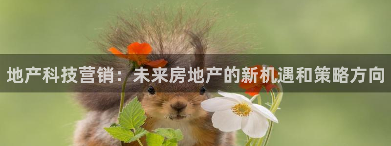金年会官方娱乐app下载安卓