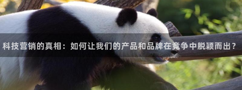 金年会官方娱乐app下载