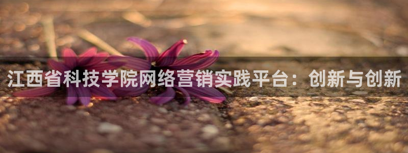 金年会体育手机app下载官网