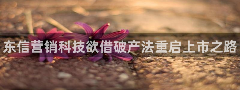 金年会体育app平台怎么样可靠吗