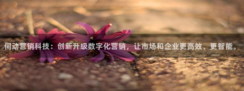 金年会 金字招牌诚信至上