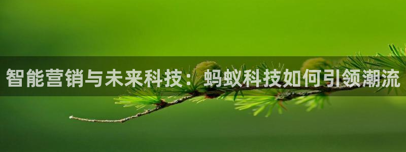 金年会app官方网站入口