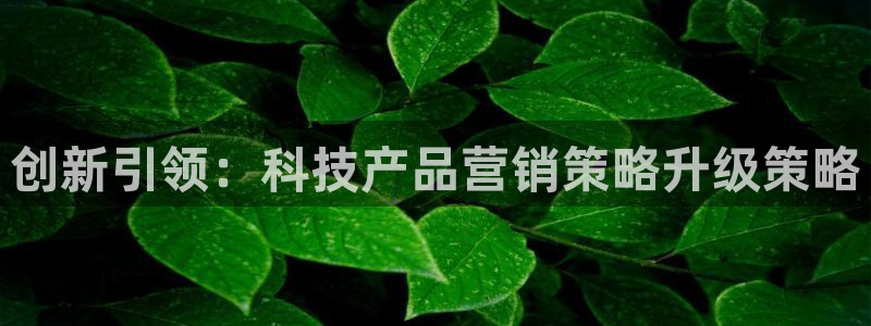 金年会手机版本网页登录