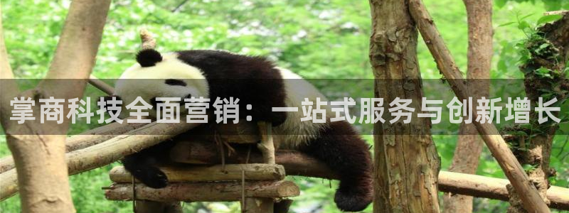 金年会VIP网页版在线登录入口