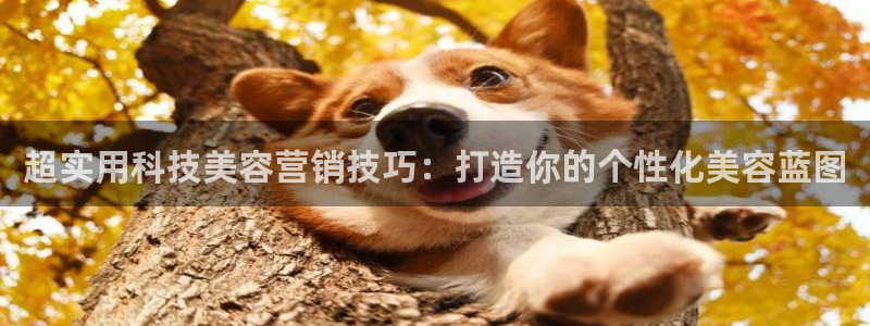 金年会pg电子官网首页