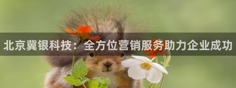 金年会app官方网站入口