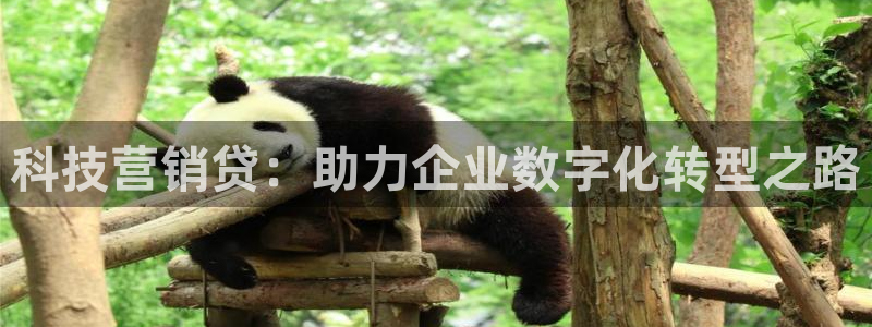 金年会网站入口