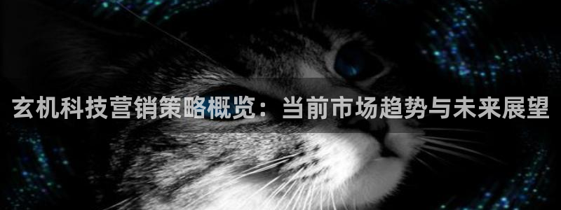 金年会金字招牌信誉至上是黑平台吗