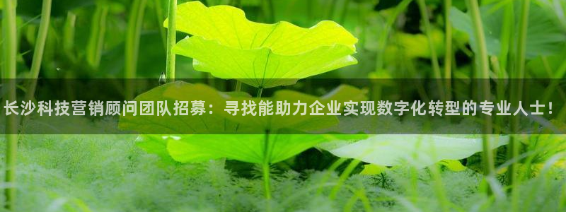 金年会金字招牌是什么意思