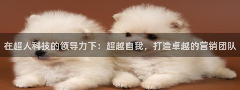 金年会下载链接